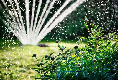 Hoogzomerklus: de tuin besproeien